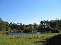 Fishing Pond